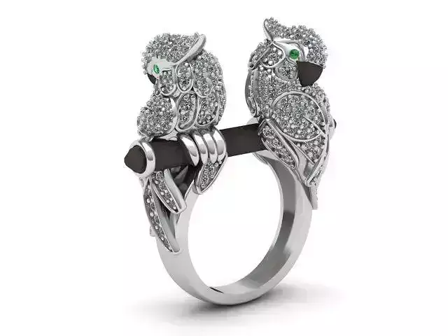 parrot ring