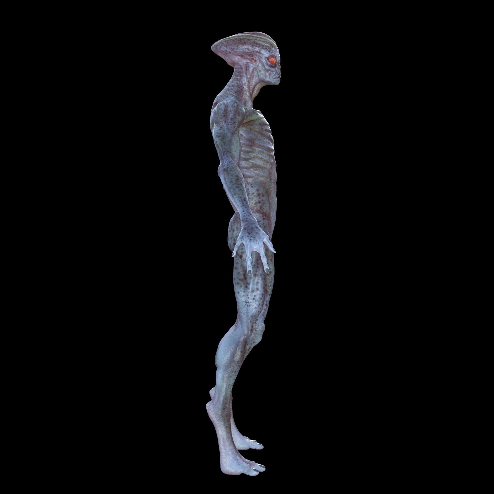 Alien 3D model_2