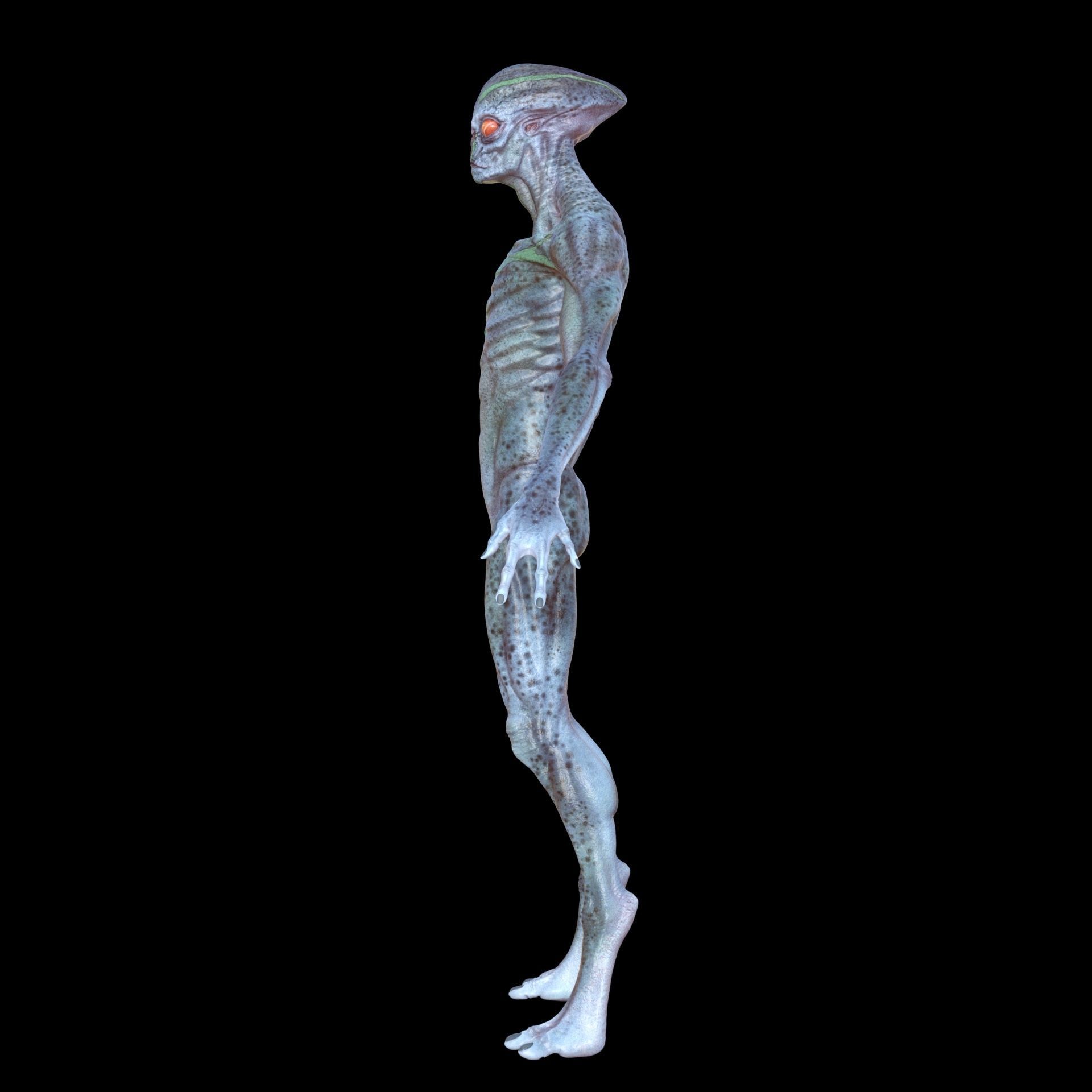 Alien 3D model_1