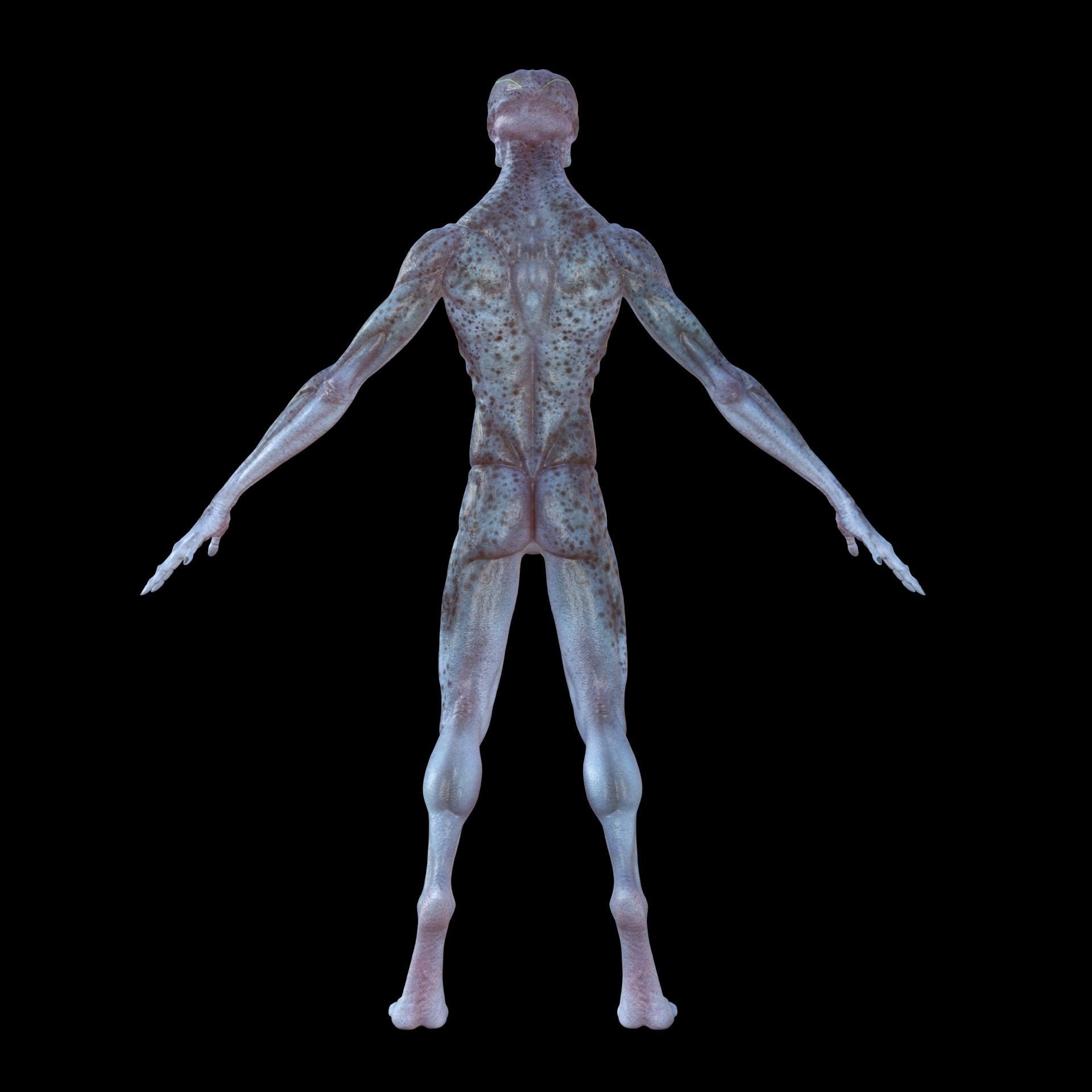 Alien 3D model_3