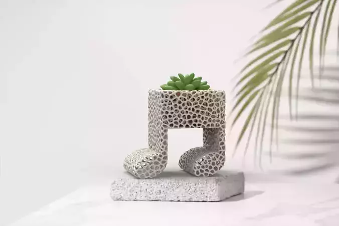 Vase Succulent Musical Notes Plants