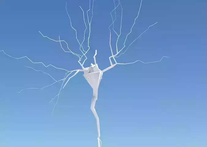 draft 3D model