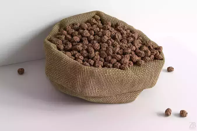 Tiger Nut 3D model