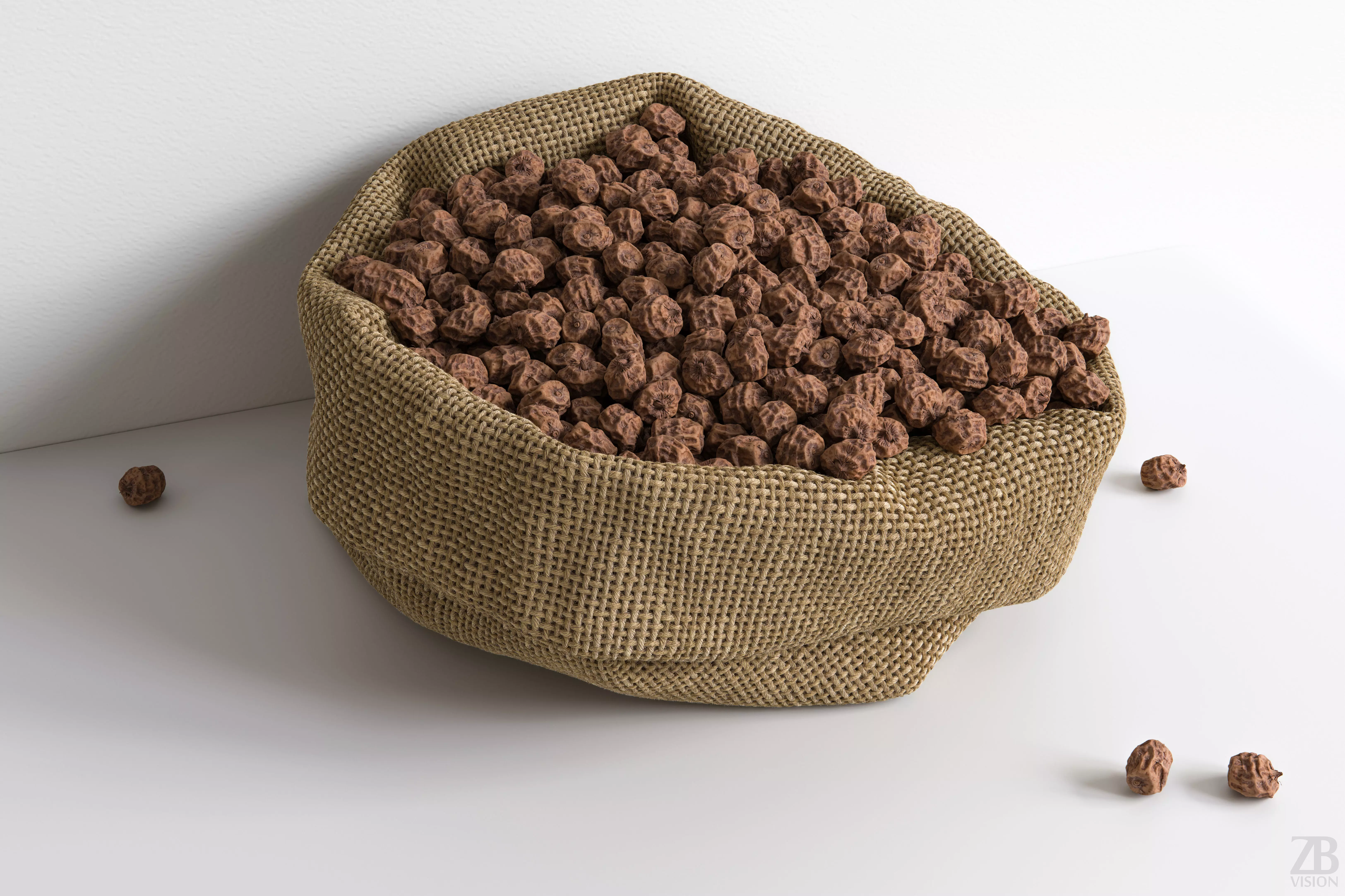 Tiger Nut 3D model_0