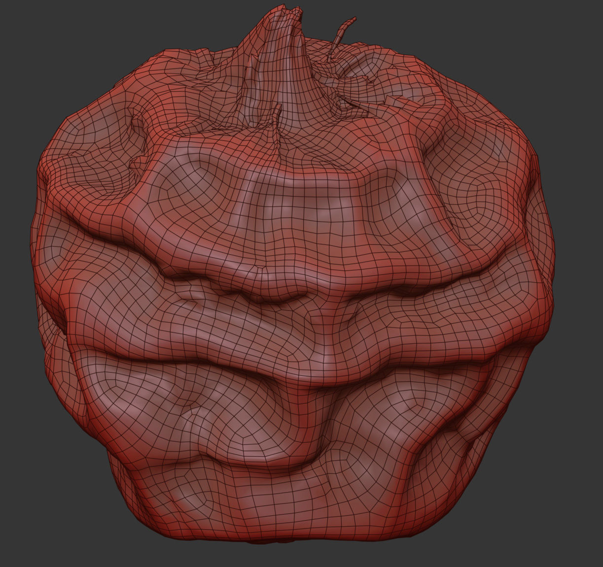 Tiger Nut 3D model_6