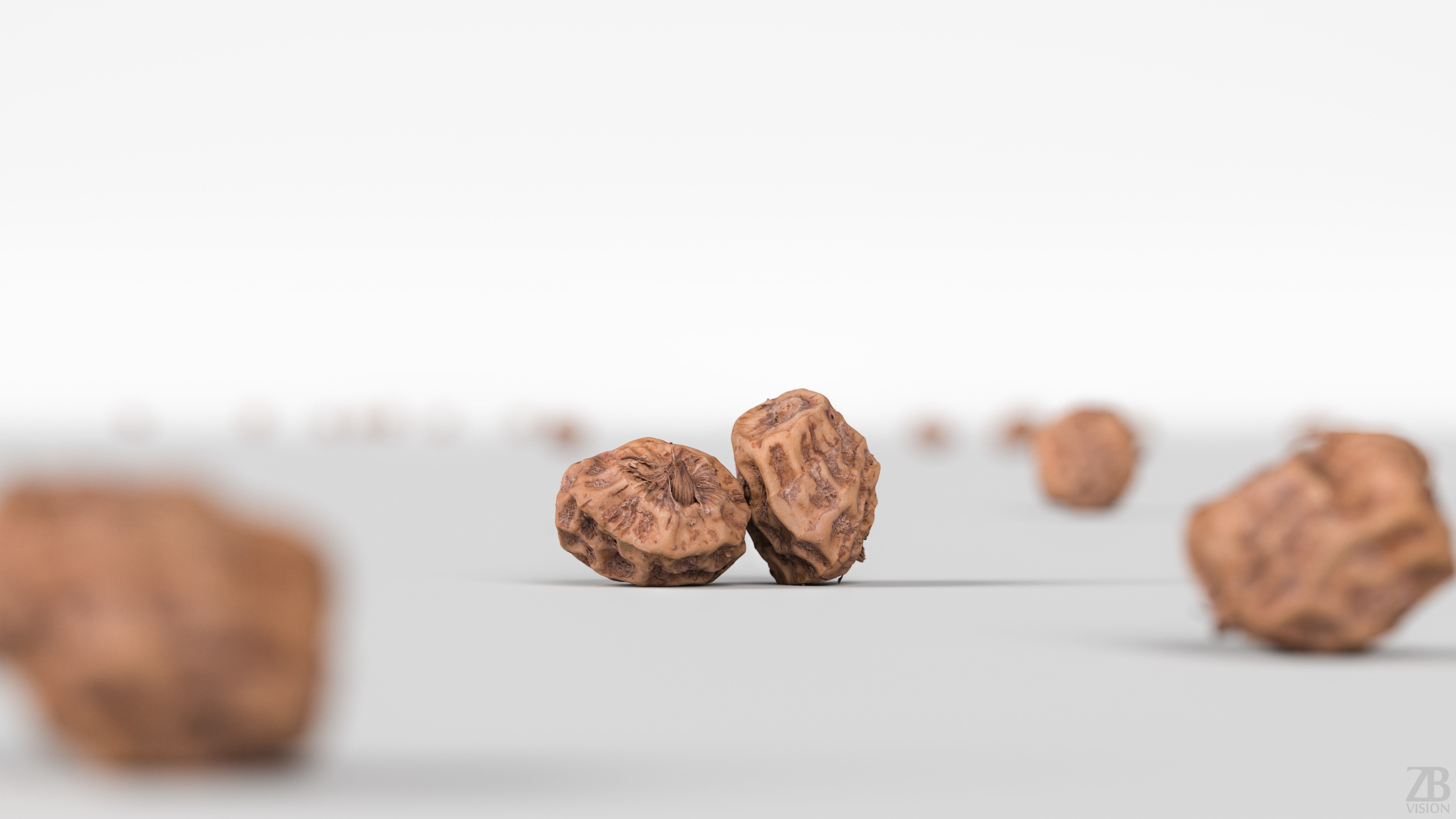 Tiger Nut 3D model_1