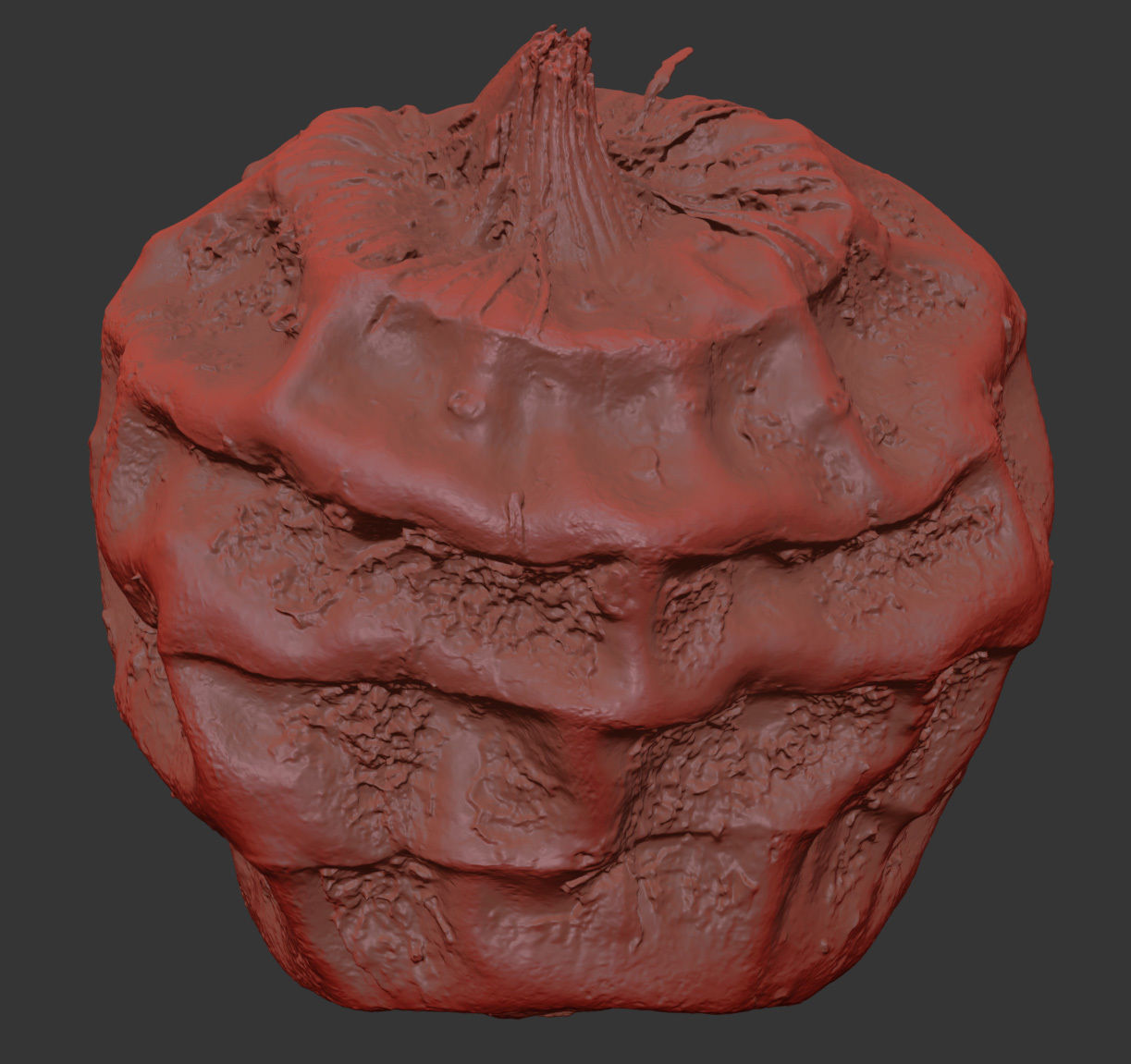 Tiger Nut 3D model_7