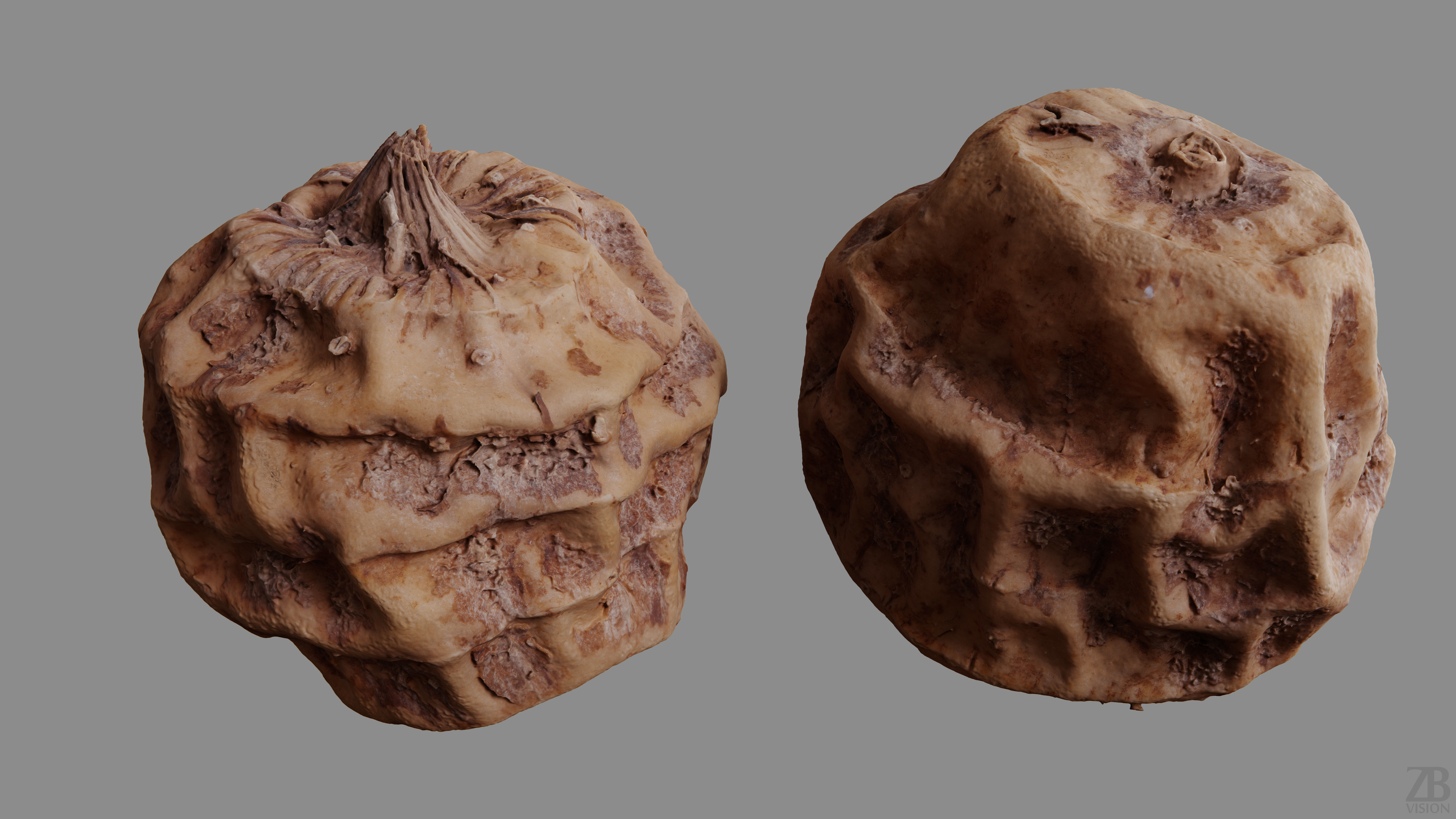Tiger Nut 3D model_9