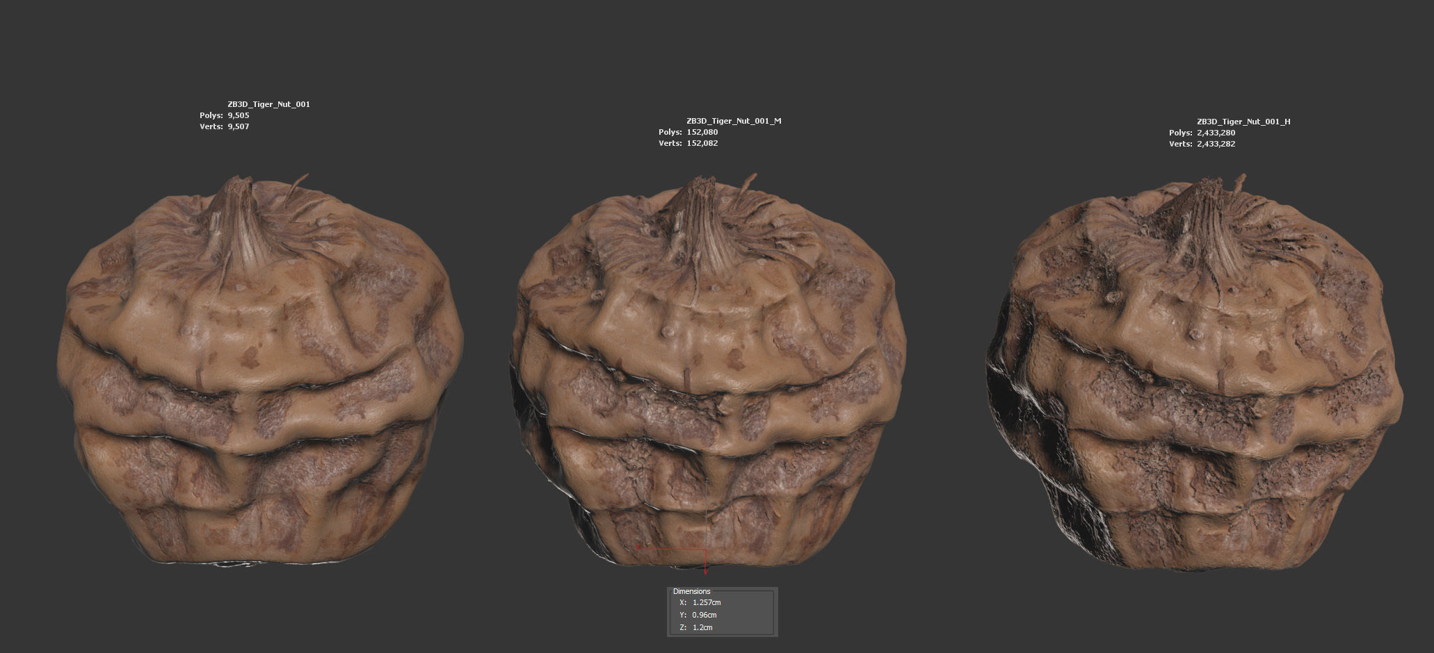Tiger Nut 3D model_5