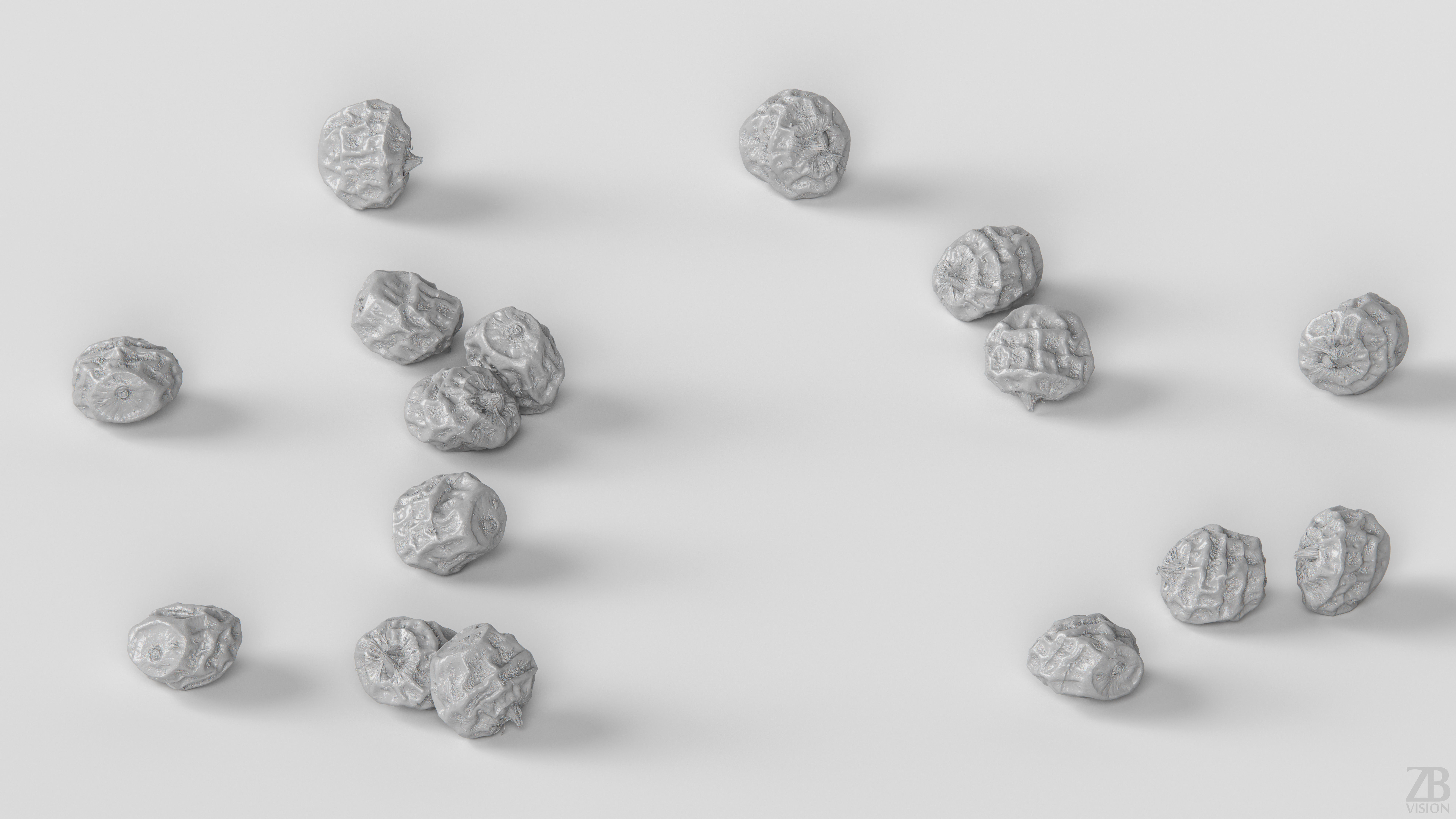 Tiger Nut 3D model_3