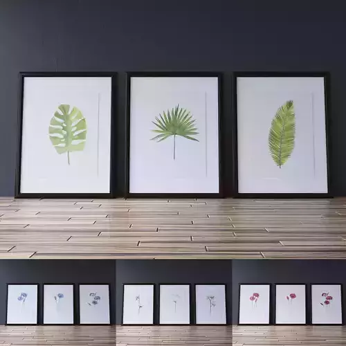 The  Collection Of 12 Paintings