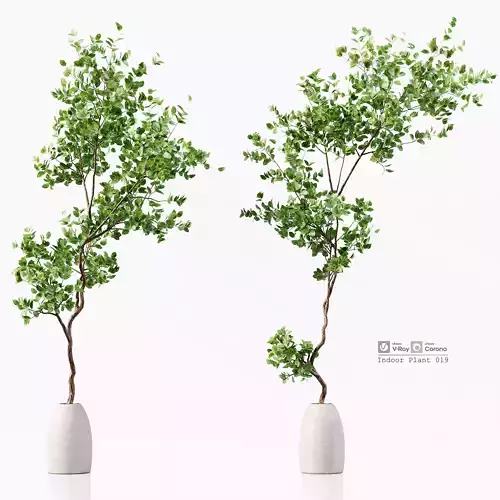 Indoor Plant 019 Low-poly 3D model