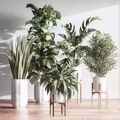 IndoorSetPlant043 3D model