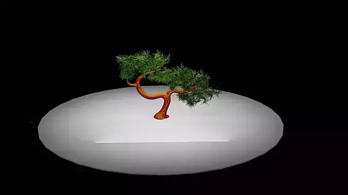Bonsai Tree 3D Model obj ply stl fbx dae mtl blend