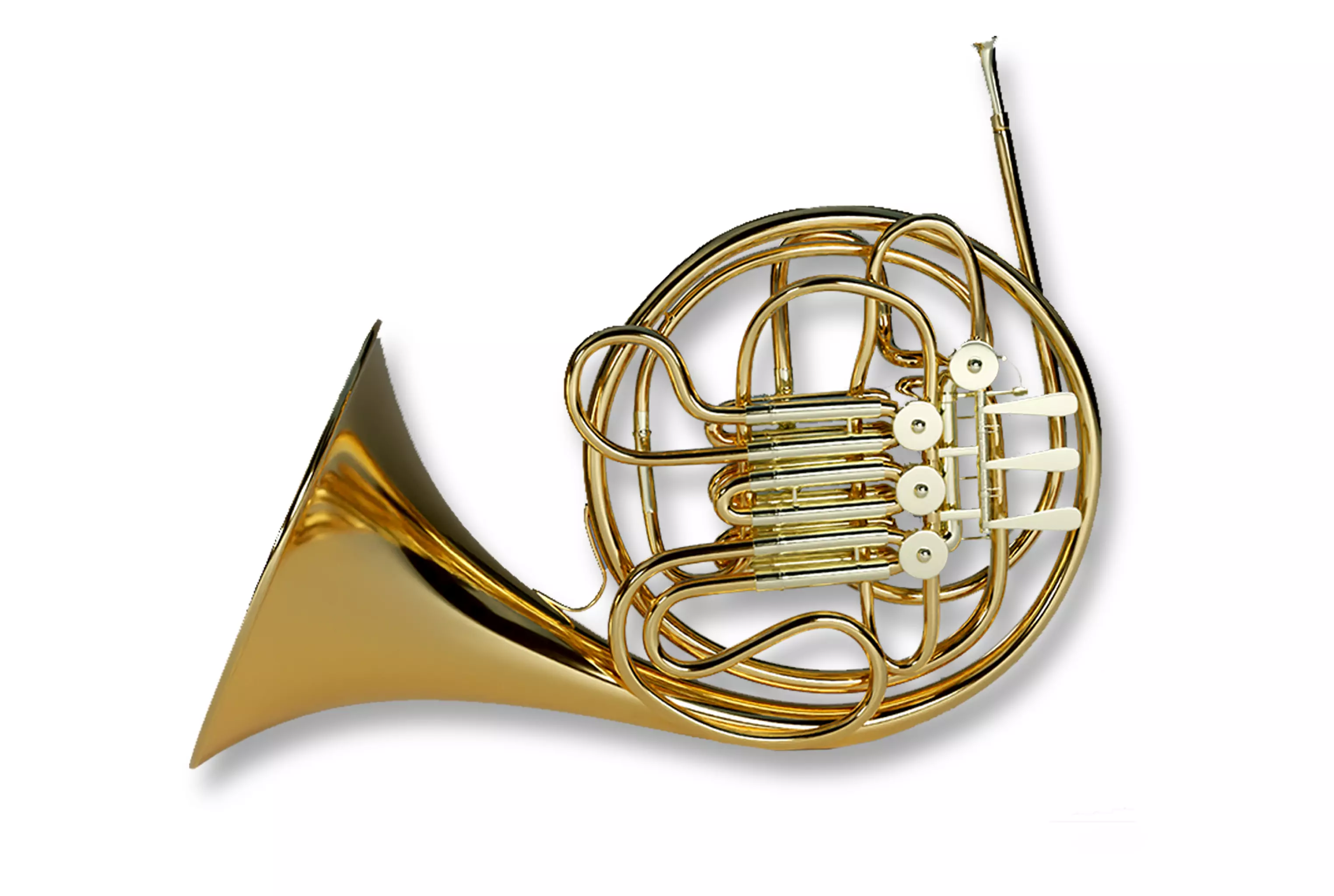 French Horn 3D model