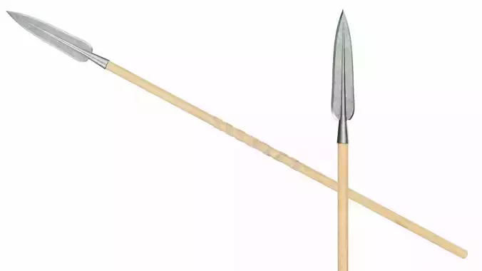 Spear with leaf shaped tip