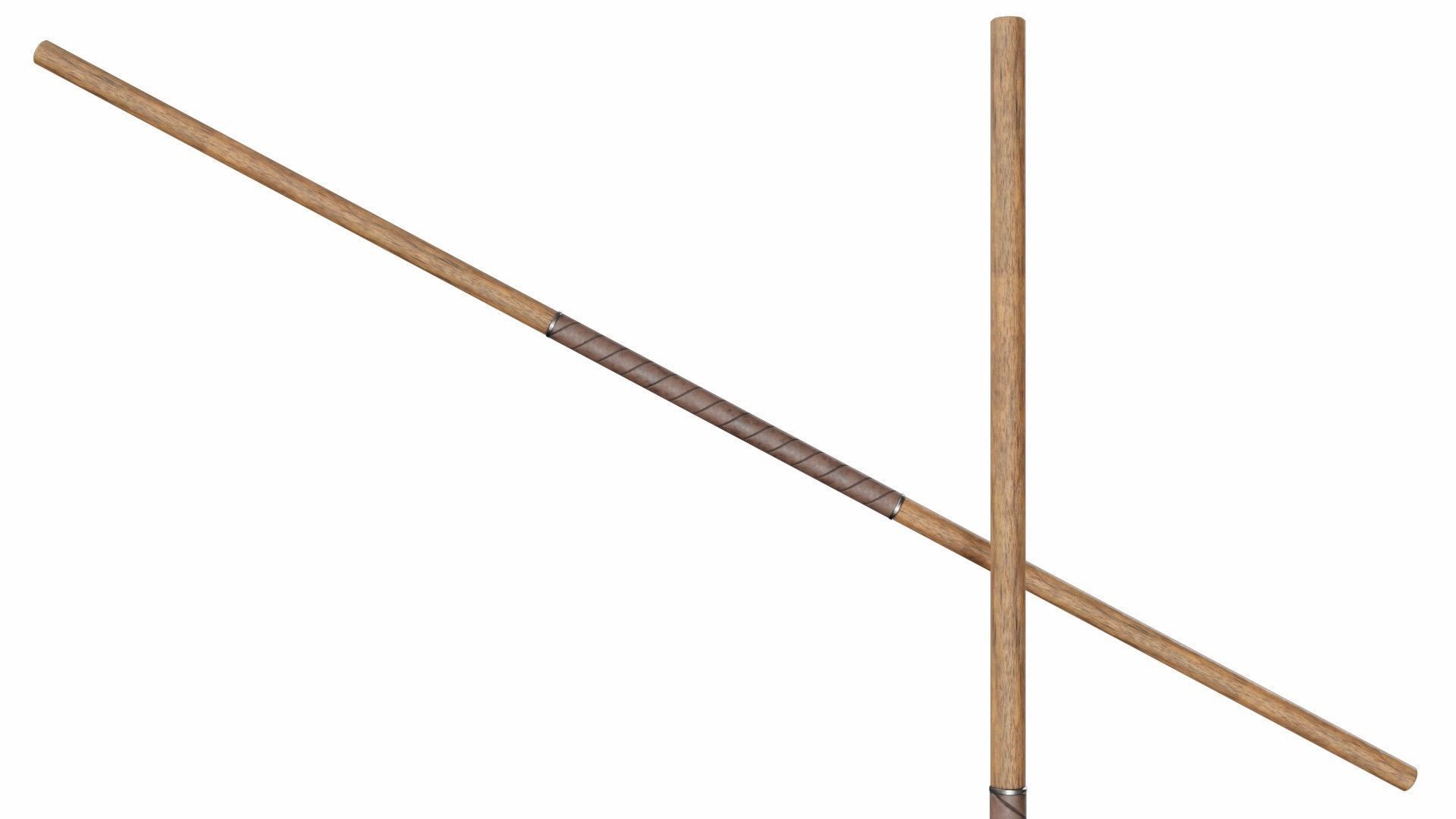 Collection of 10 special spears 3D model_1