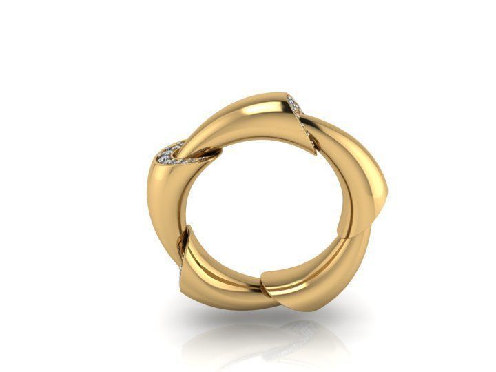 Vhernier Ring  3D print model_2