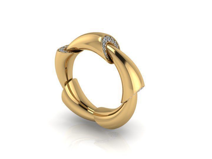 Vhernier Ring  3D print model_1