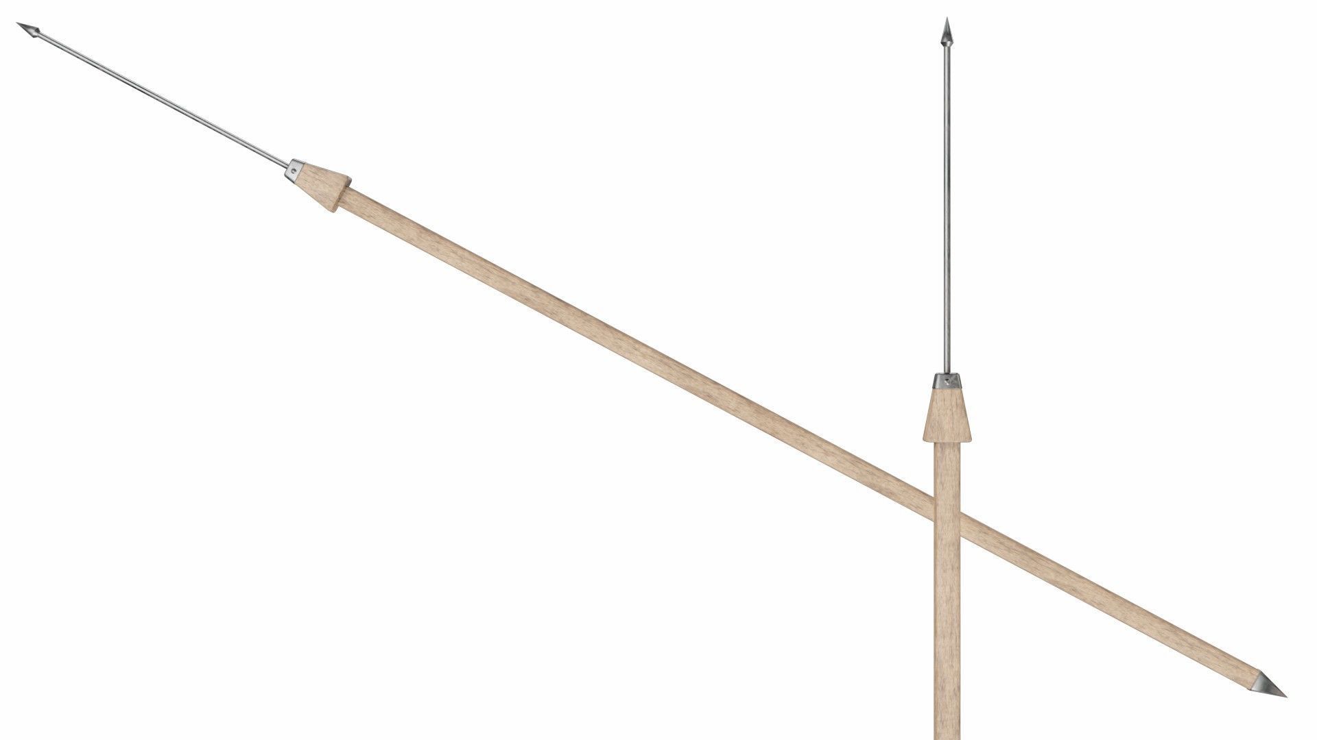 Collection of 40 spears and halberds 3D model_20