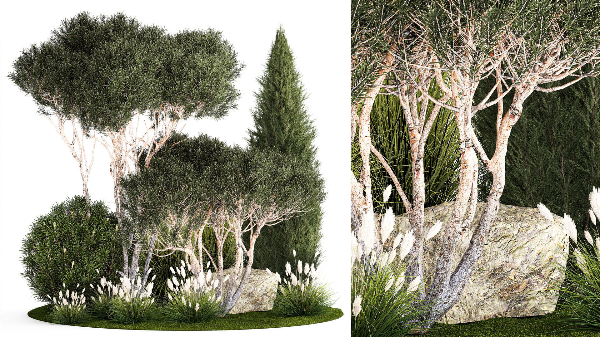 beautiful plants alpine hill pine bonsai bushes grass 1339 3D model_1