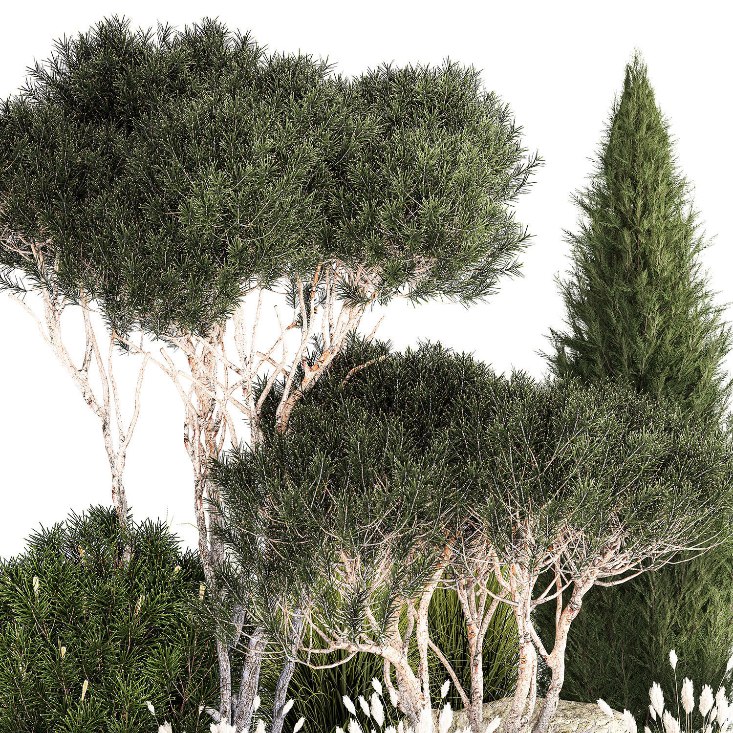 beautiful plants alpine hill pine bonsai bushes grass 1339 3D model_7