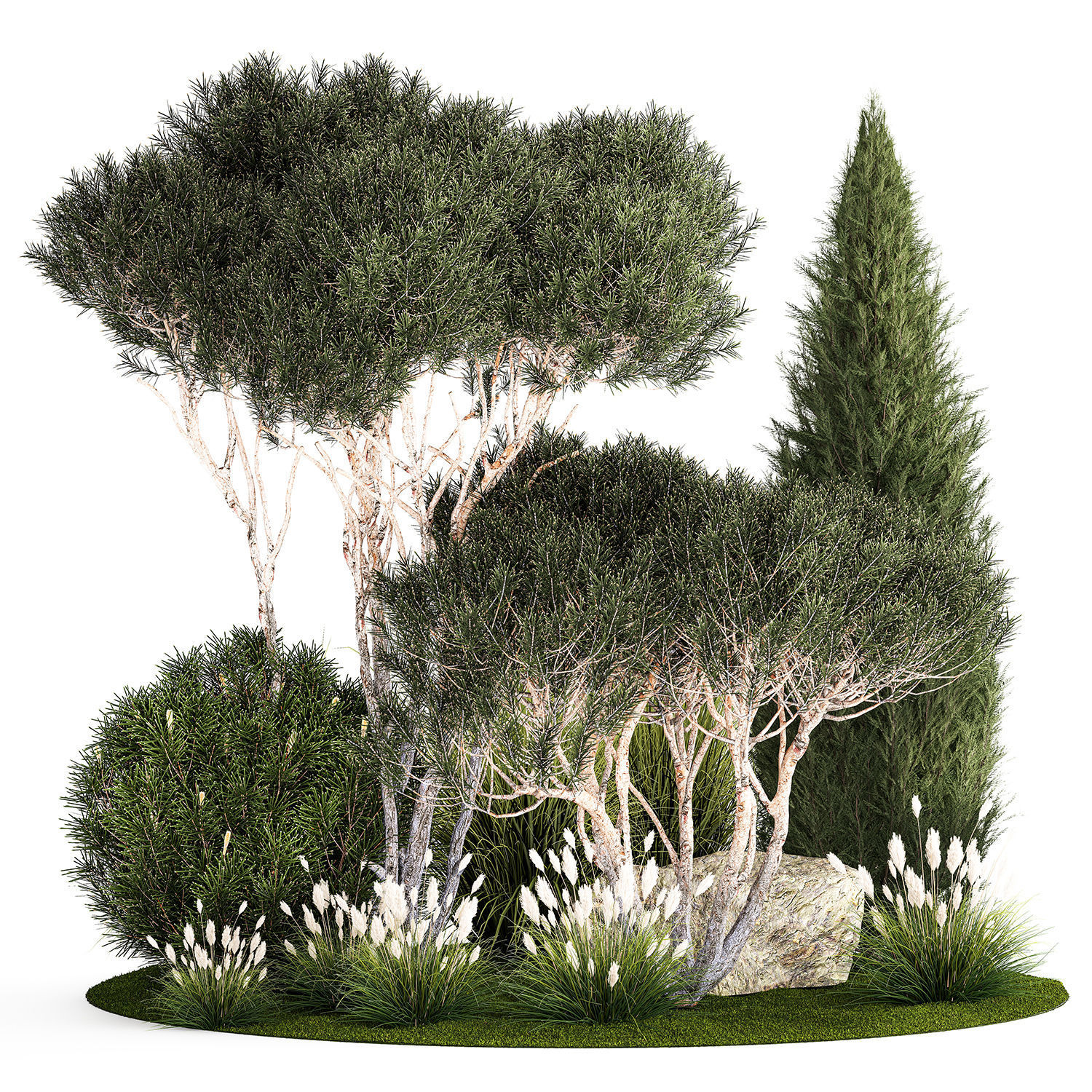 beautiful plants alpine hill pine bonsai bushes grass 1339 3D model_6