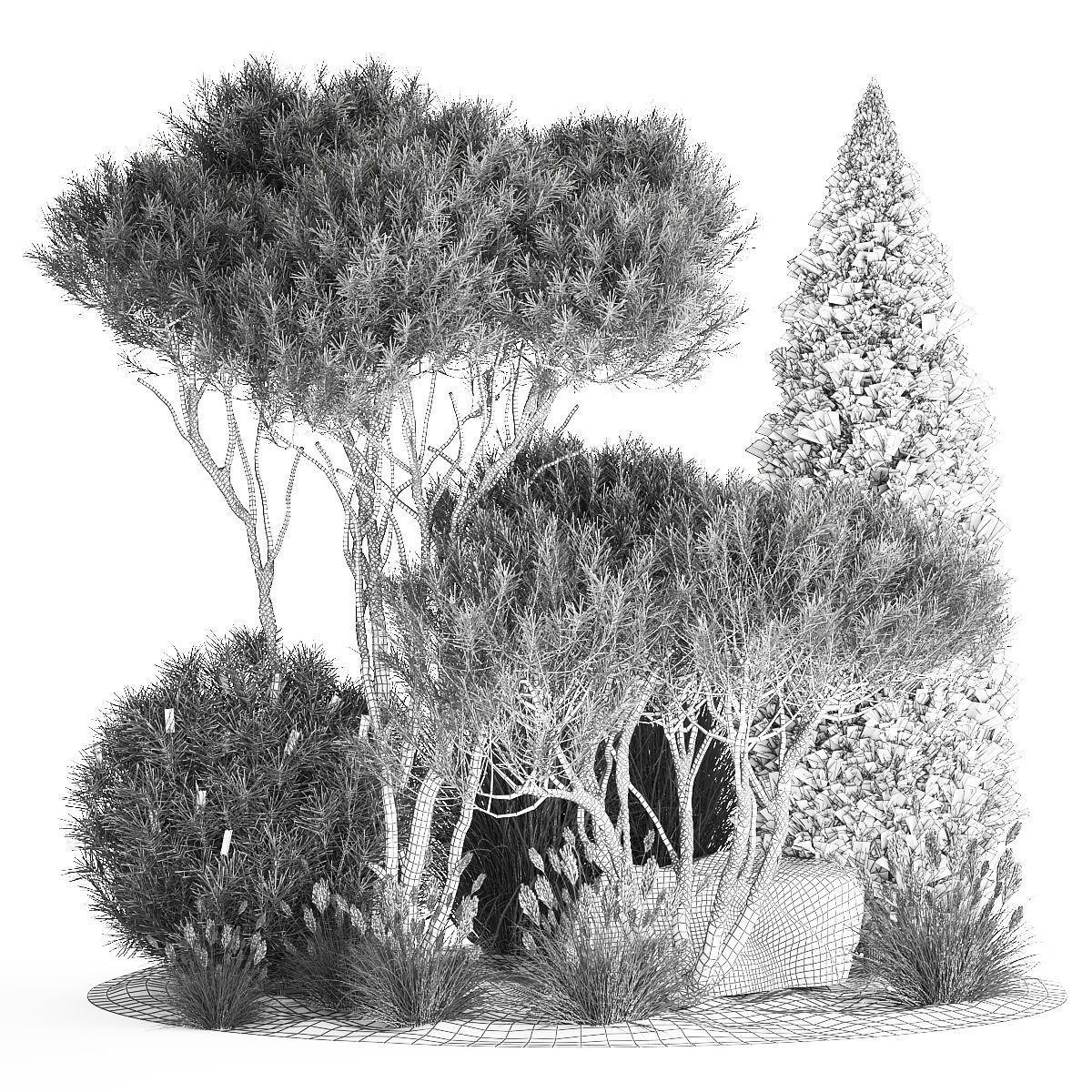 beautiful plants alpine hill pine bonsai bushes grass 1339 3D model_11