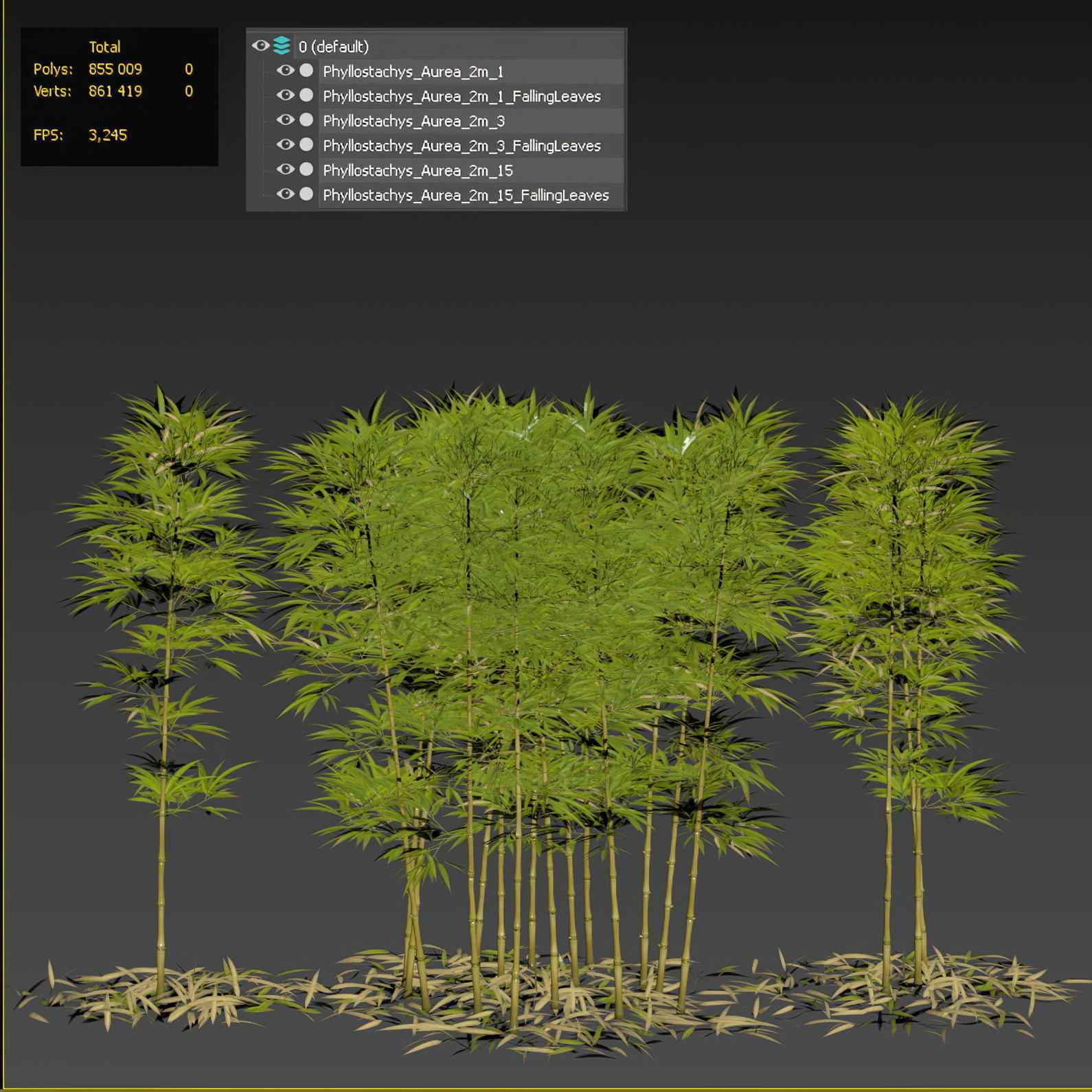 Bamboo Phyllostachys Aurea 2m 3D model_2