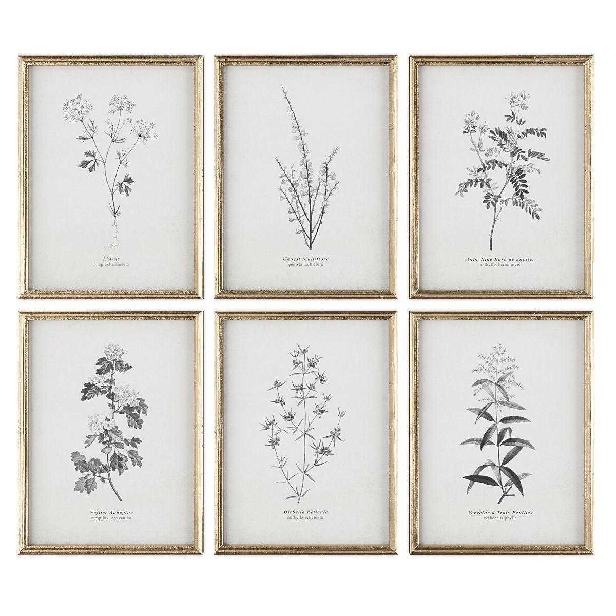 Pictures949 Low-poly 3D model_2