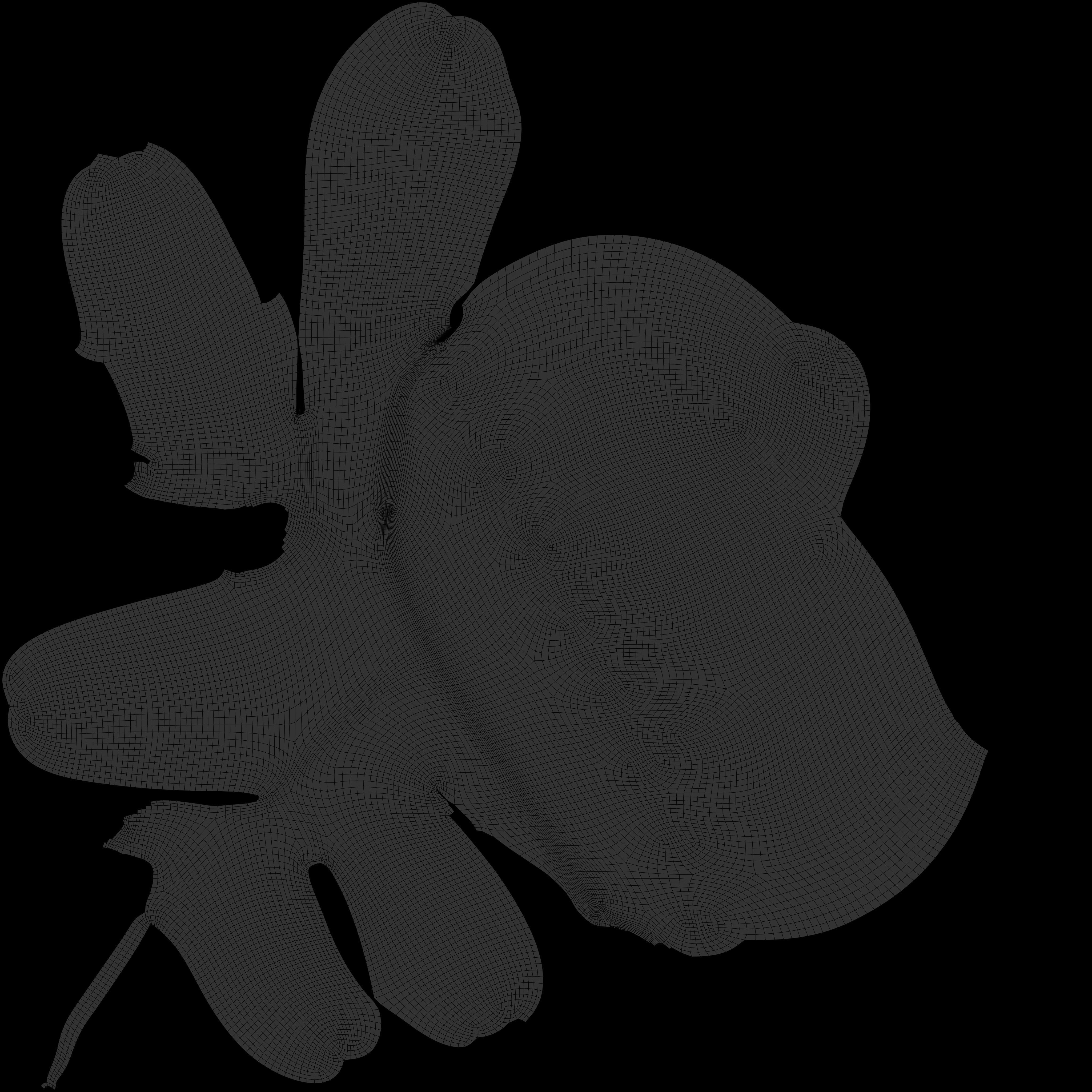 Lilac jellyfish 3D model_7