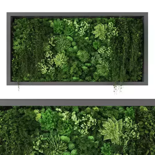 Vertical garden 217