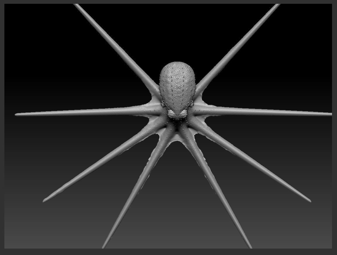 giant pacific octopus Low-poly 3D model_7