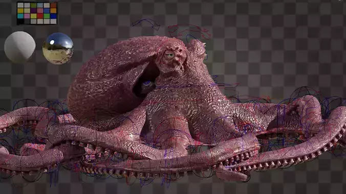  giant pacific octopus Low-poly 3D model