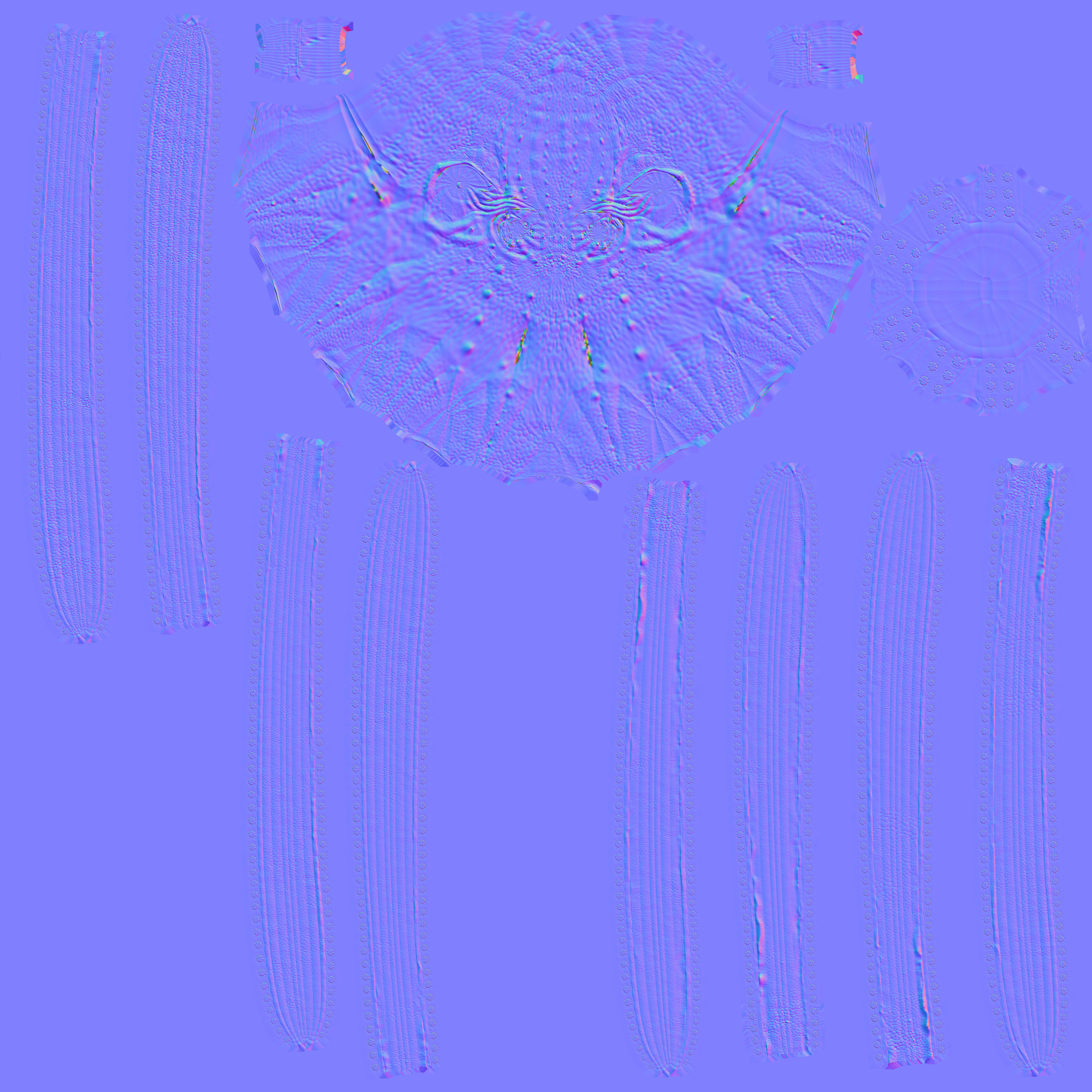 giant pacific octopus Low-poly 3D model_3