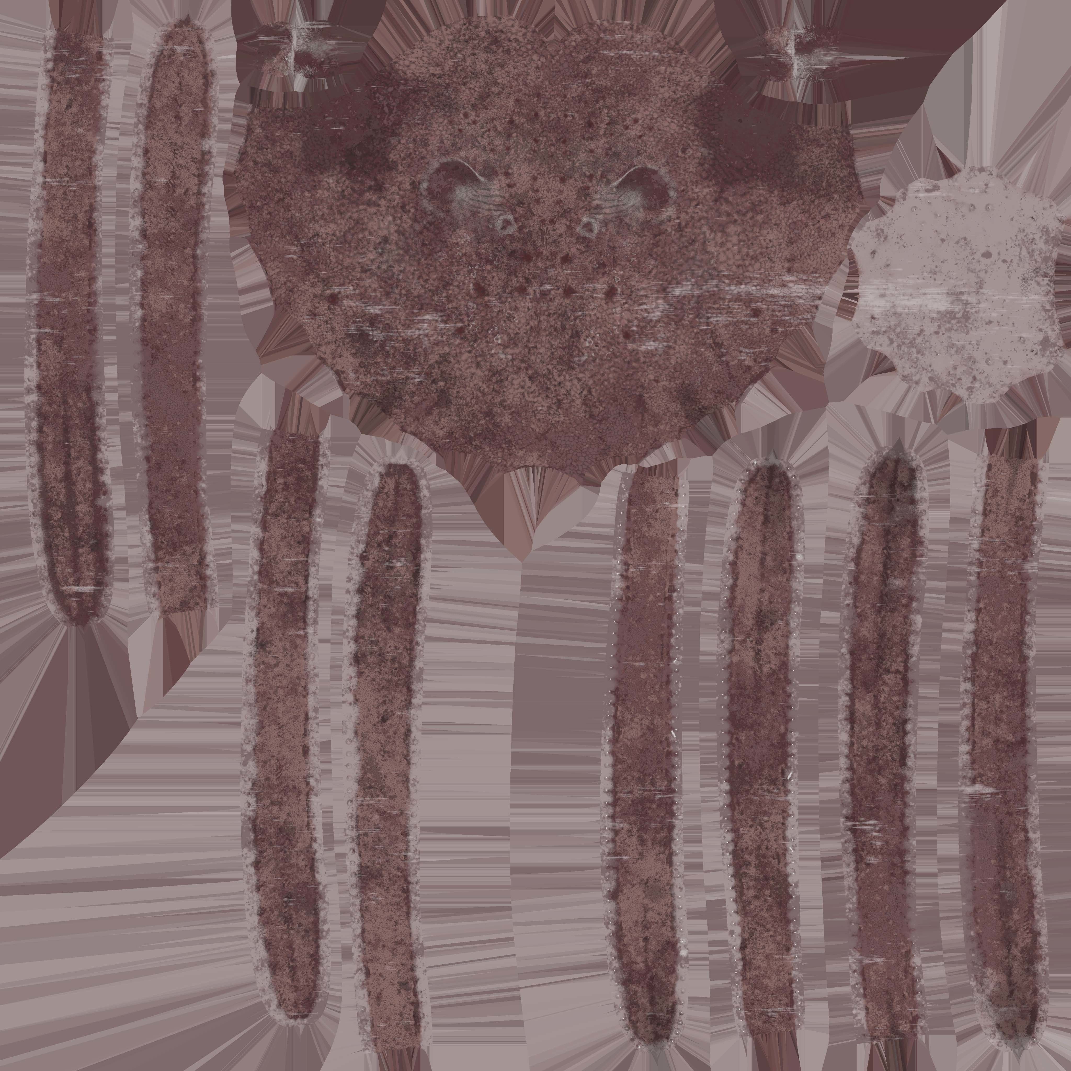 giant pacific octopus Low-poly 3D model_4