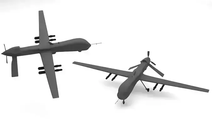 Predator Type Drones