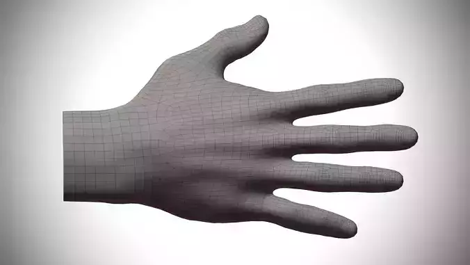 Low-Polygon Hand