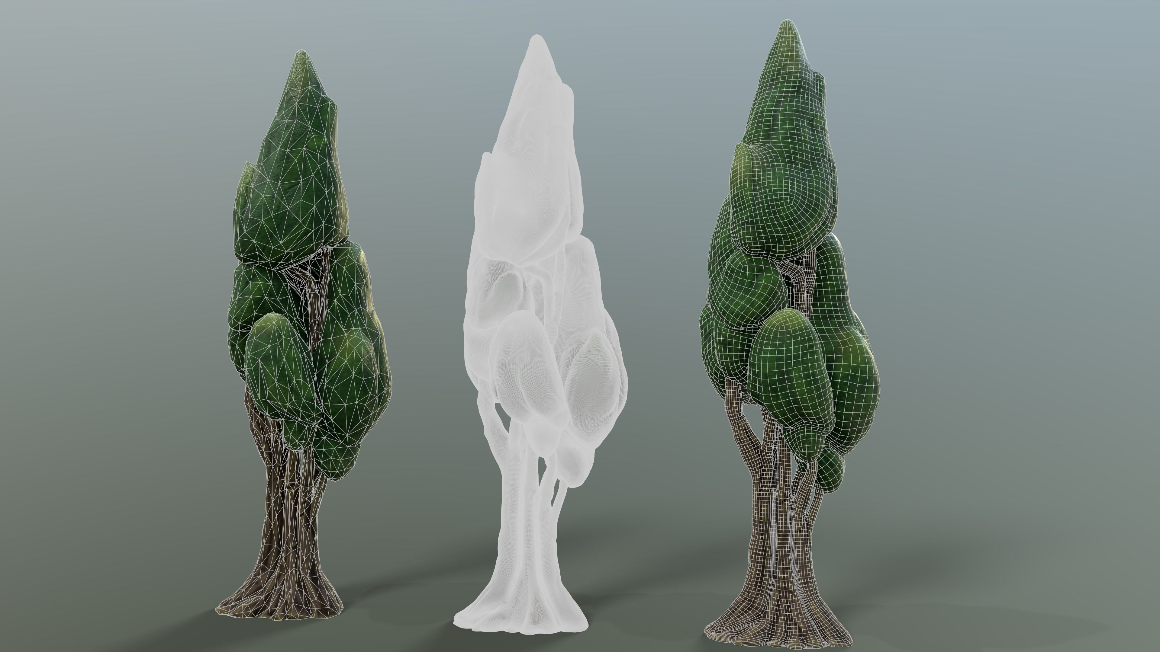 Cypress Stylized Tree Low-poly 3D model_2