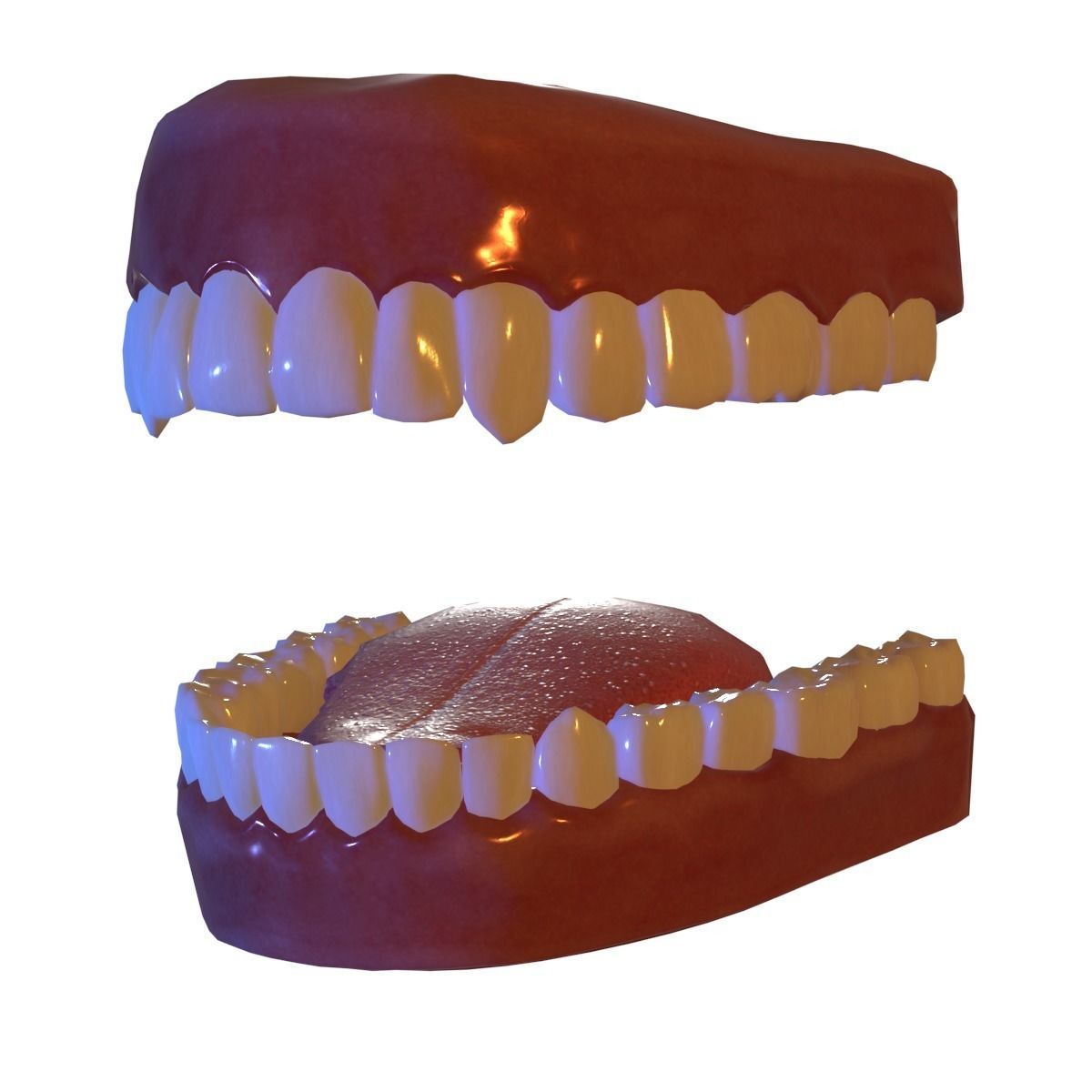 Teeth and Tongue 3D Model Rigged Low-poly 3D model_11