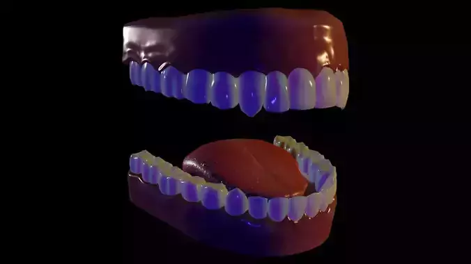 Teeth and Tongue 3D Model Rigged Low-poly 3D model