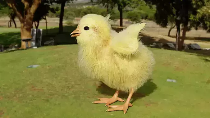Hen Chick 3D model