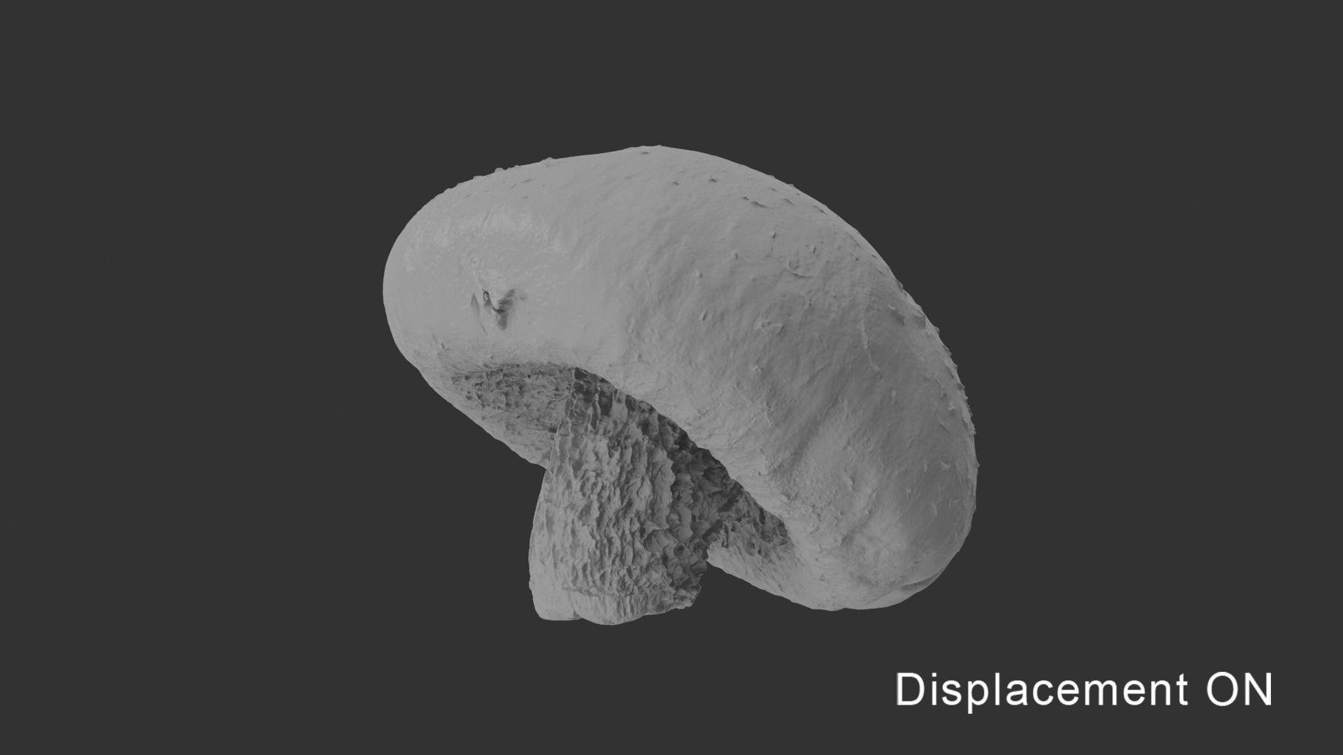Shiitake Mushroom 2 3D model_17
