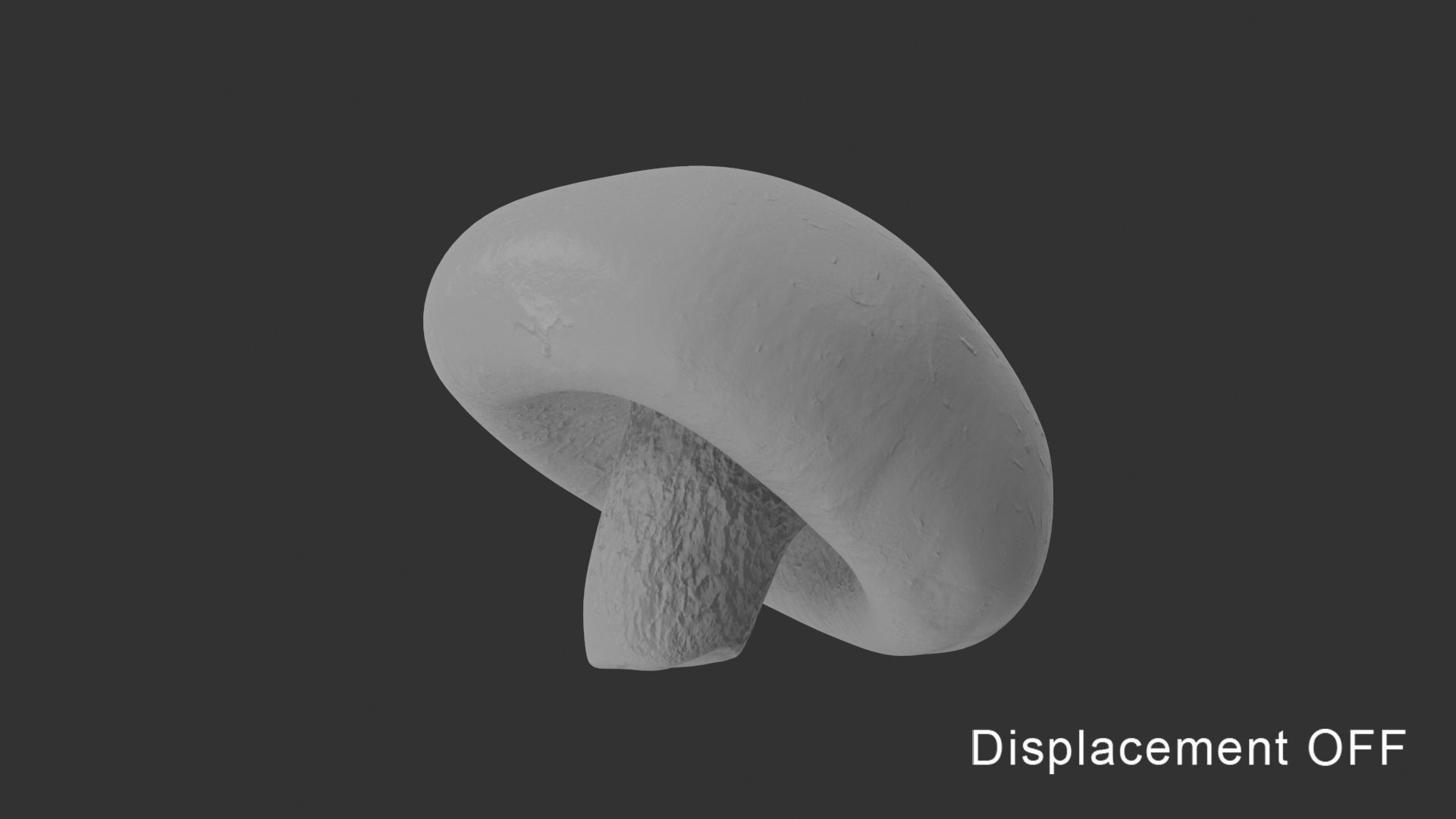 Shiitake Mushroom 2 3D model_16
