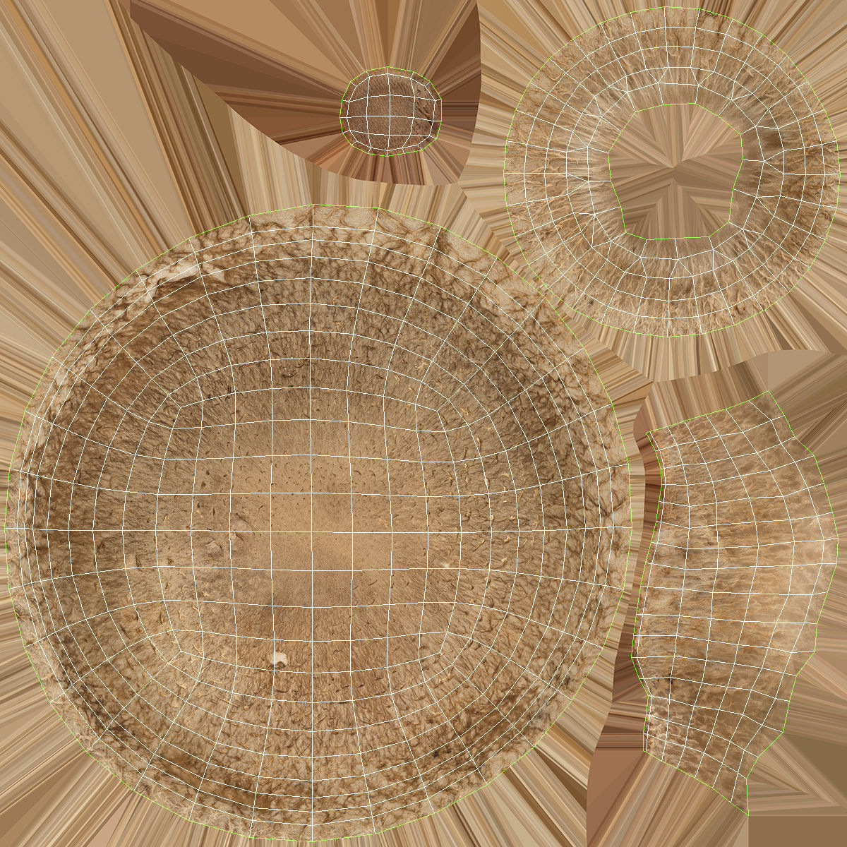 Shiitake Mushroom 2 3D model_12
