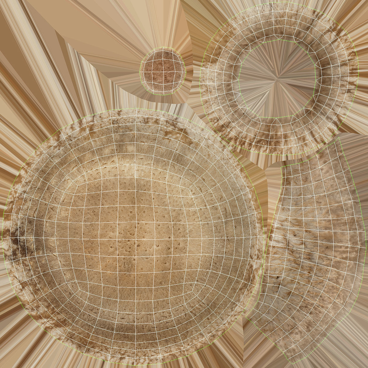 Shiitake Mushroom 3 3D model_12