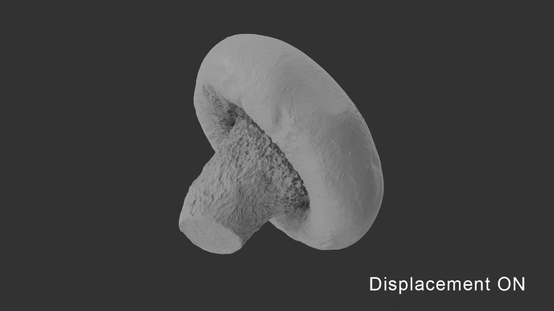 Shiitake Mushroom 3 3D model_17