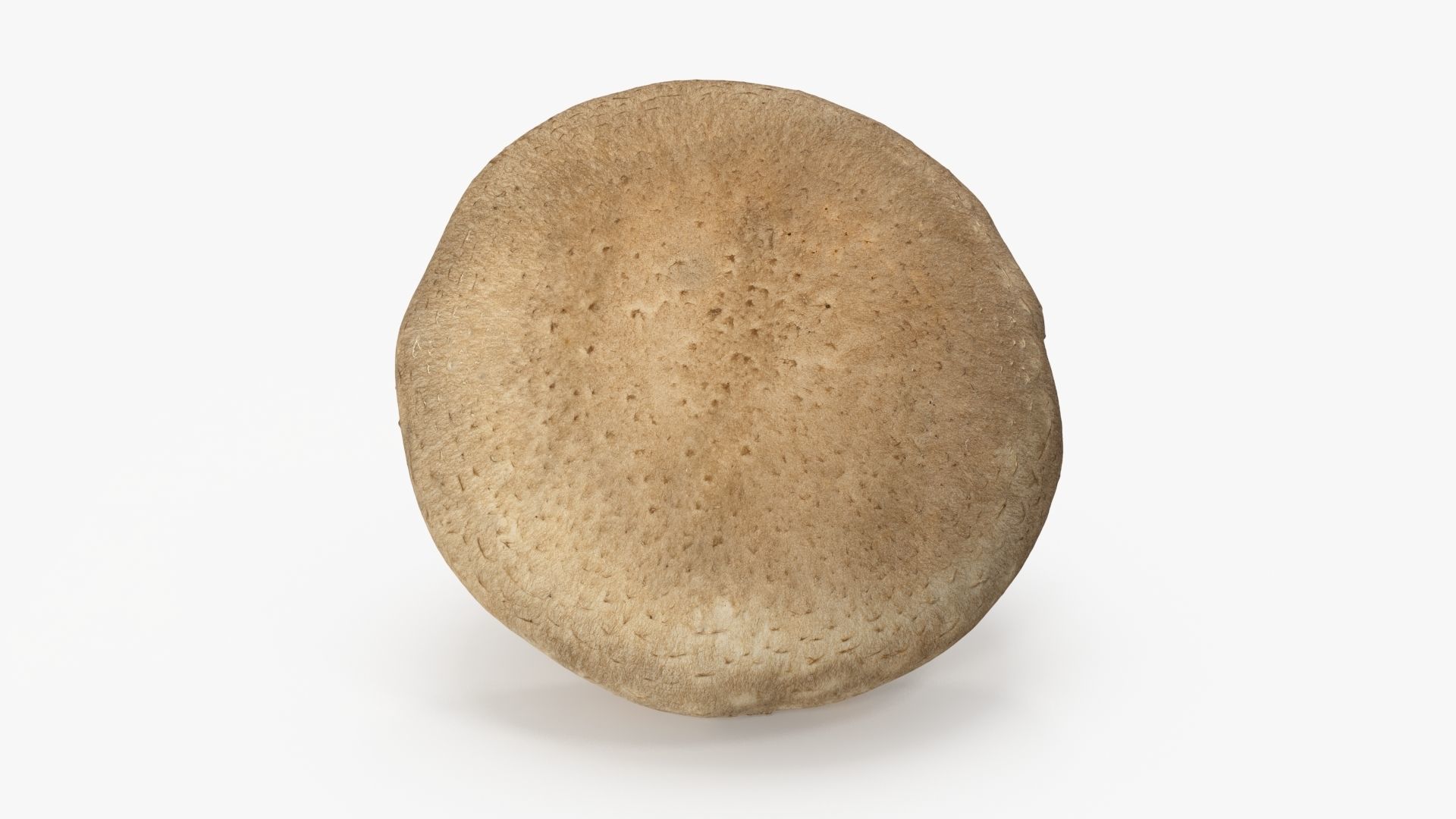 Shiitake Mushroom 3 3D model_4