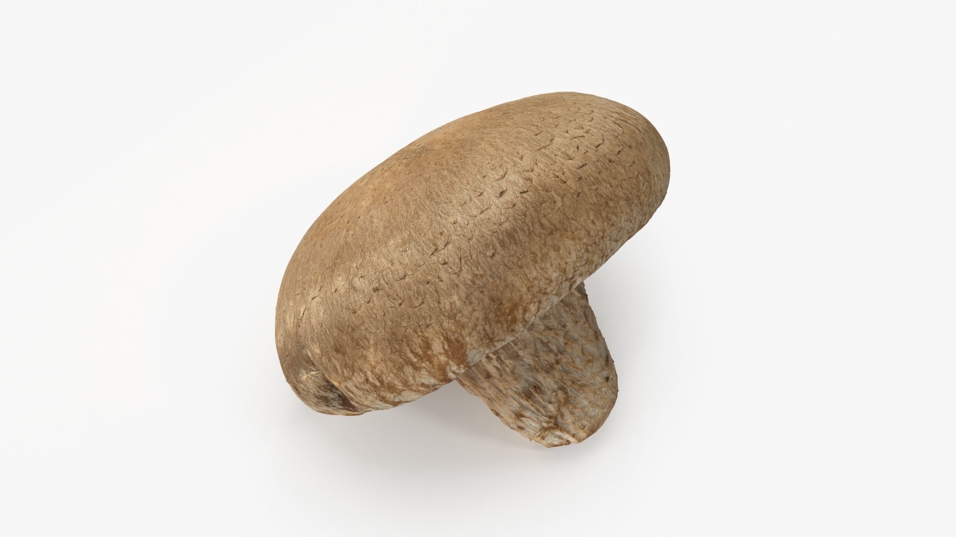 Shiitake Mushroom 3 3D model_2