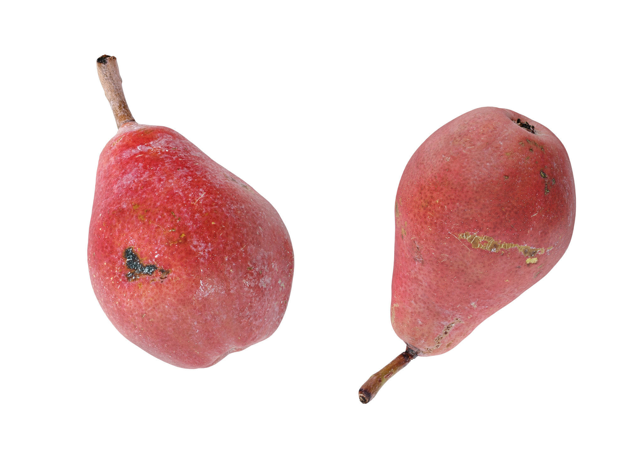 Pears Red 3D model_5